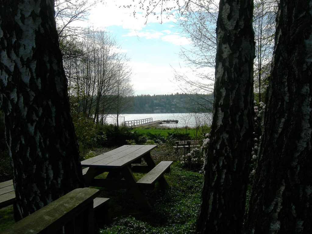 Lake Washington seen from Lyon Creek Waterfront Preserve in Lake Forest Park