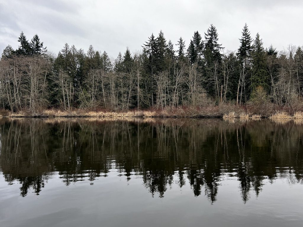 Scriber Lake in Lynnwood, Washington, seen from the dock